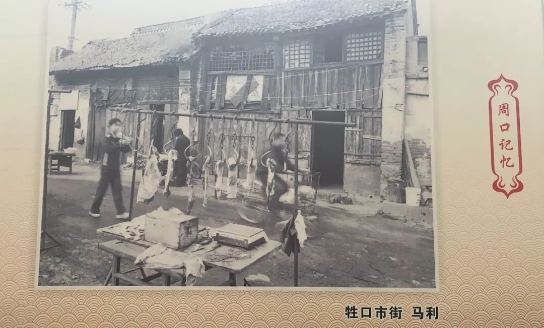 凤凰台荷花市场邮电大楼中州路上再现周口发展史