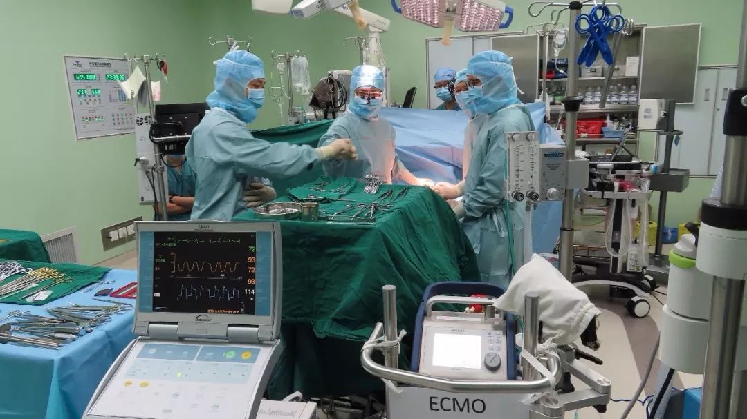 器官移植十二时辰手术室里的生死赛跑每一刻都值得被铭记