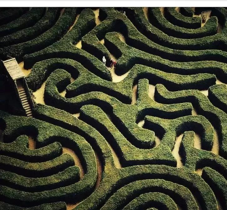 风靡全国的网红迷宫来金坛了! 中国巡展·8月10日重磅来袭!