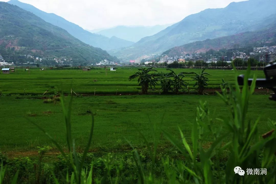 得专家指点我们信心倍增南涧县城将要美出新高度