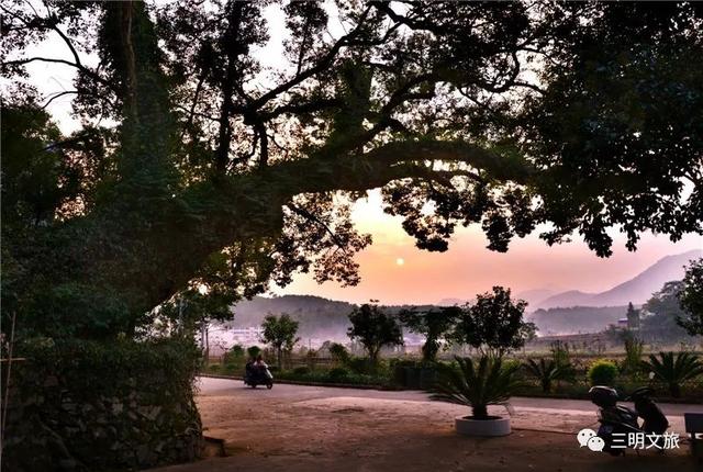 明溪縣夏陽鄉紫雲村尤溪聯合鄉雲山村明溪縣夏坊鄉李沂村建寧溪源上坪