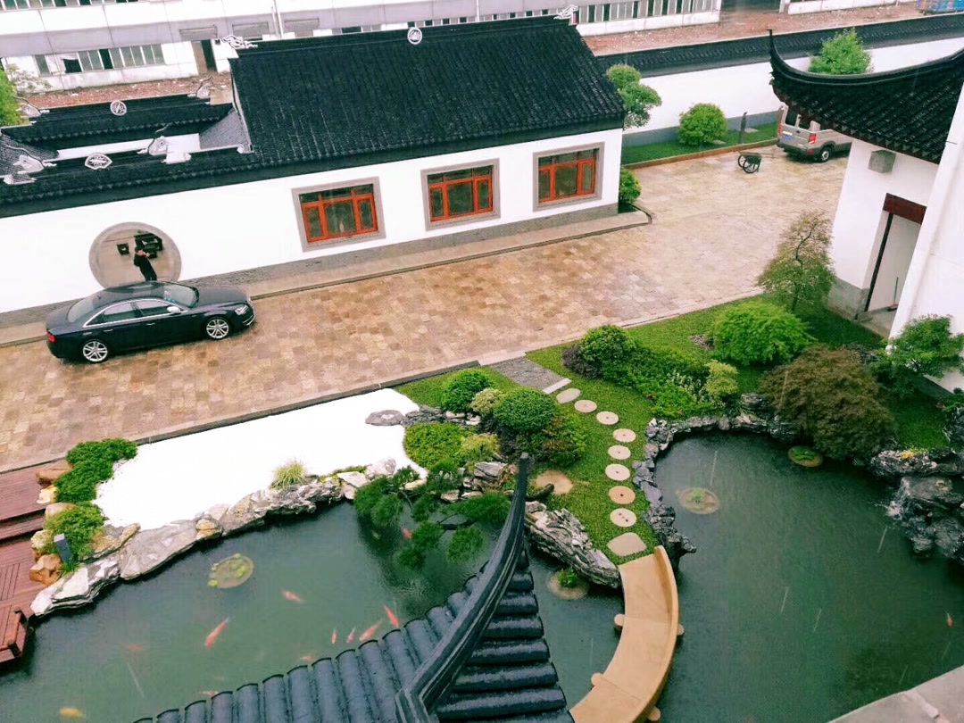 太美的锦鲤鱼池中国日本欧美各具特色的锦鲤池