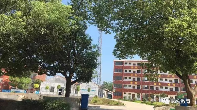四望镇中心学校校长魏茂正对他们的义举表示钦佩和感谢,从全镇学校