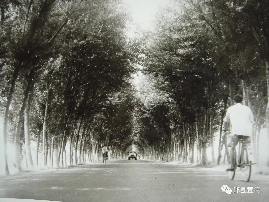 1984年106国道邱县段进出邱县的路口,那些年的标语都用上英语了俯瞰