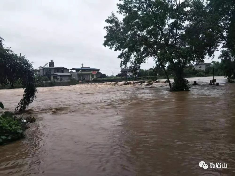 截至6日8时,青神县罗波乡,汉阳镇,瑞峰镇,白果乡4个乡镇遭受洪涝灾害