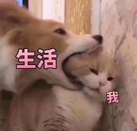 装修公司怎么选过来人谈经验句句大实话
