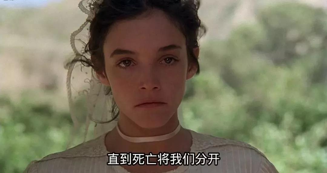 泰伦斯马力克隐秘的生活诗意镜头下的追问与探索