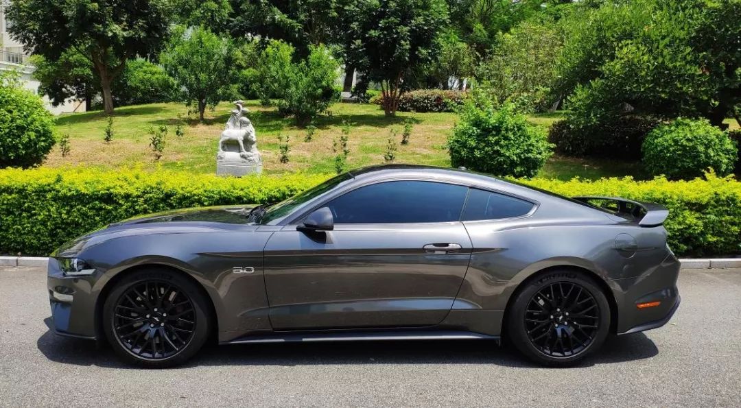 小姐姐试车爱上一匹野马mustangv8gt