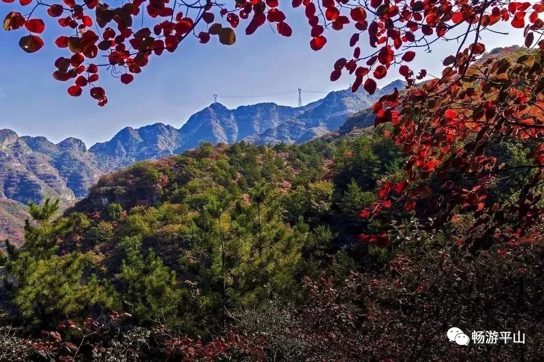 溫泉度假村「藍天白雲大地小草 故鄉才是心頭好」這裡,是平山在七夕