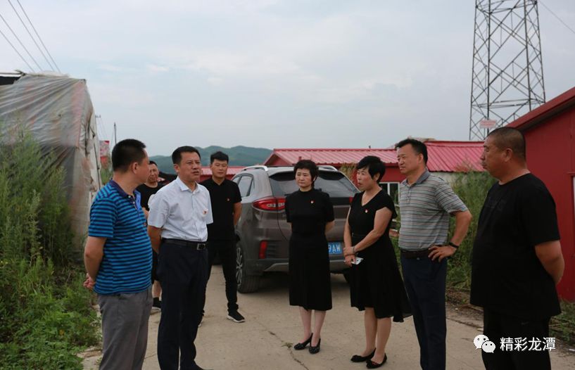 【新闻】龙潭区区委书记崔志刚带队调研软弱涣散村整顿工作