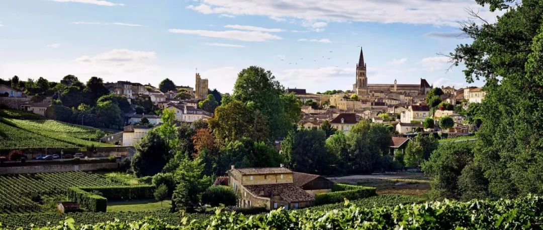 骏德词典 |【匠人】靓茨伯庄园 ch09teau lynch-bages