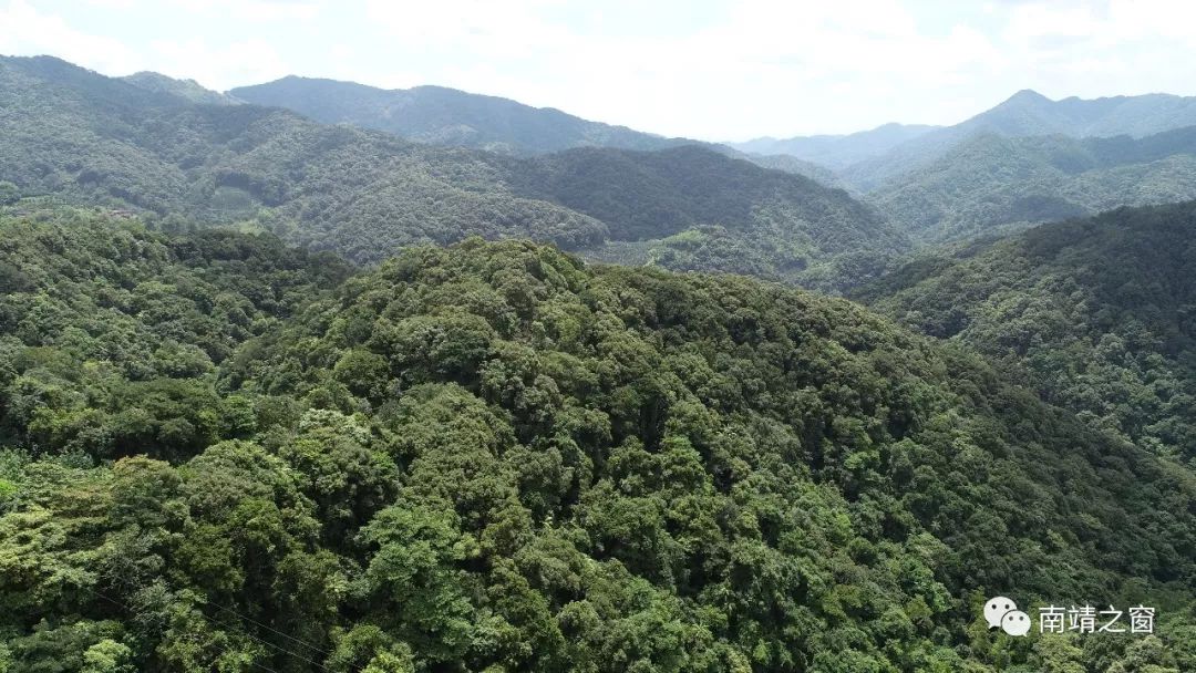 由虎伯寮,紫荆山,鹅仙洞和乐土等四个管护片组成,涉及南靖县山城,南坑