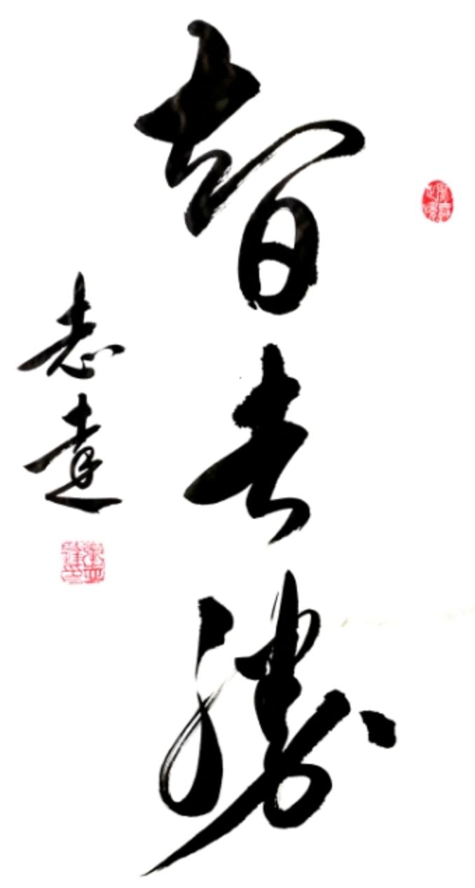 艺展中国当代实力派书法家张志达书法作品展