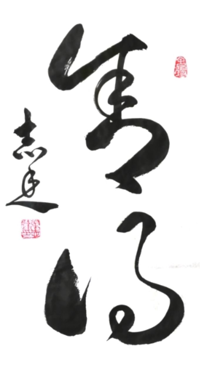 艺展中国当代实力派书法家张志达书法作品展