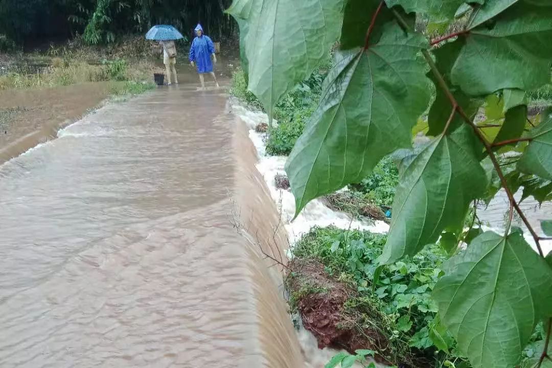 暴雨下的井研一切可好