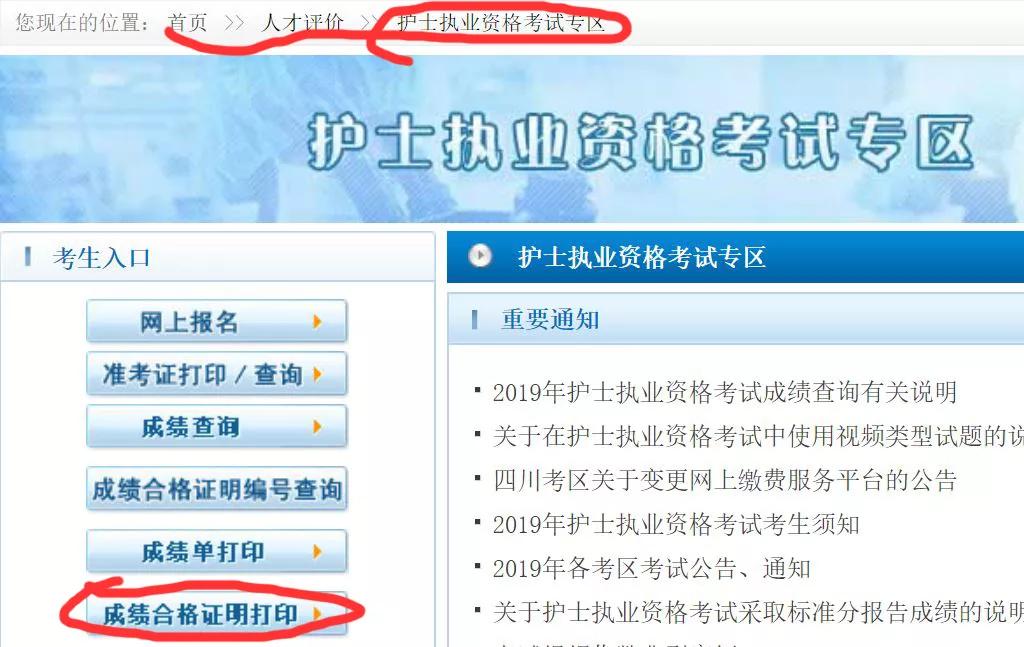 成绩合格证明于8月15日在中国卫生人才网护士执业资格证专区打印 4