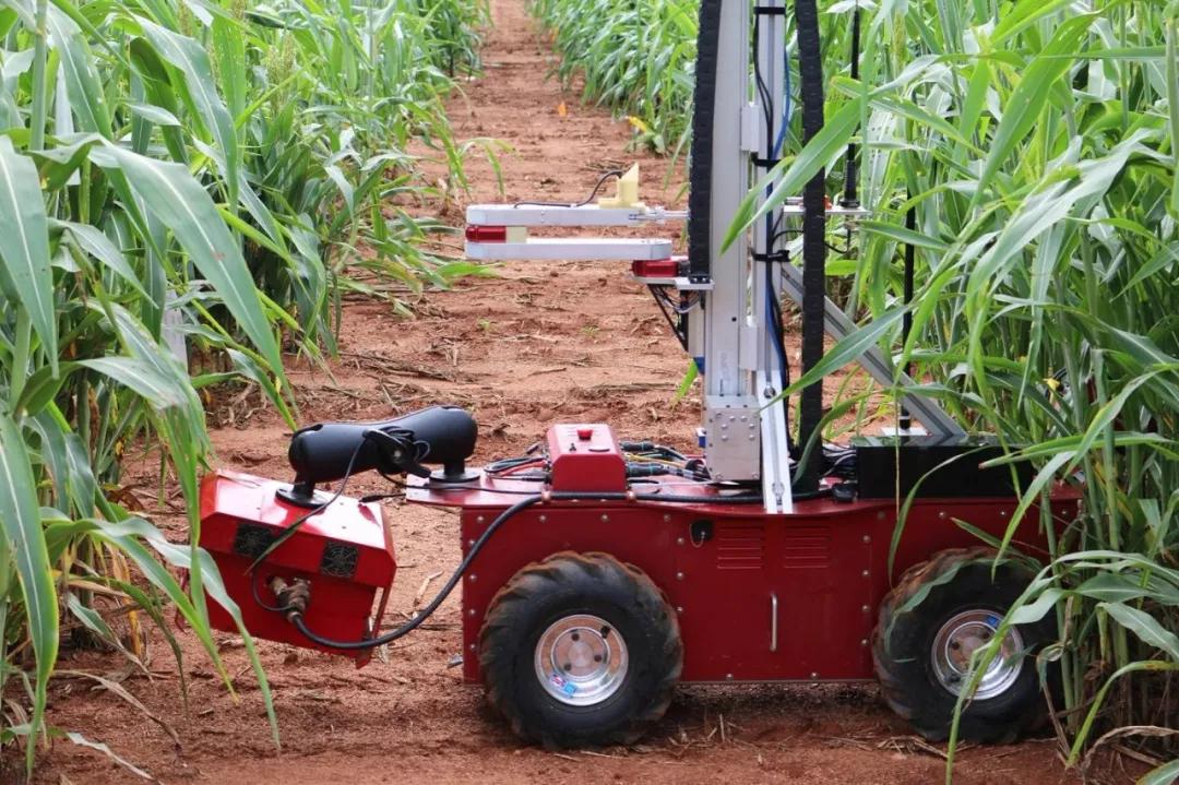 工業機器人也正在潛移默化改變農業！