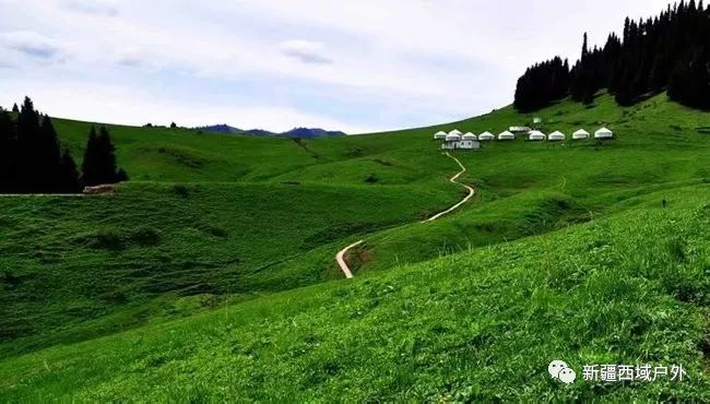 8月11日南山苜蓿臺子空中草原賞草原花海休閒採蘑菇