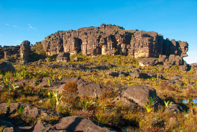 全,既有高山,也有湖泊,既有平旷的奥里诺科平,也有高耸大的圭亚那高原