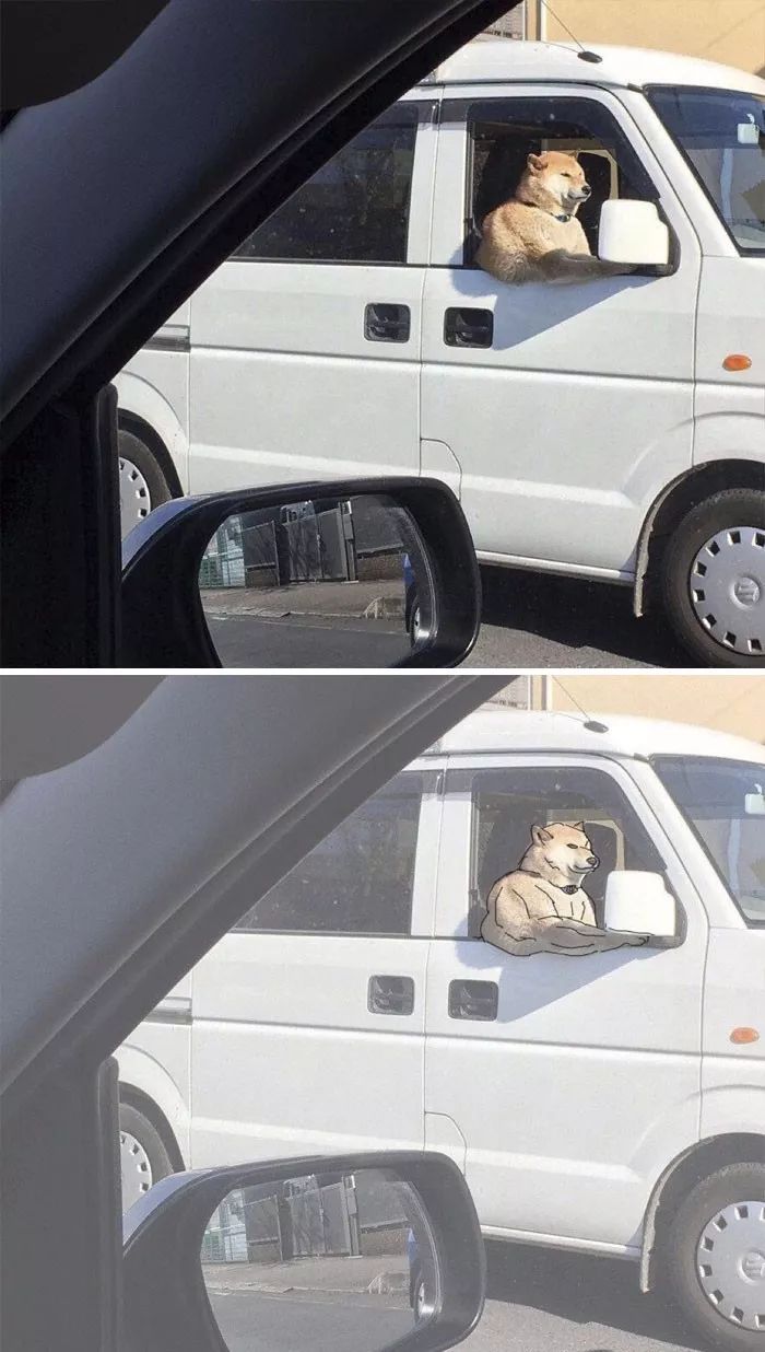 哪有什么小可爱,在我看来都是肌肉块!