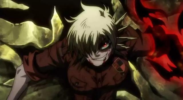 吸血鬼物语hellsing机关