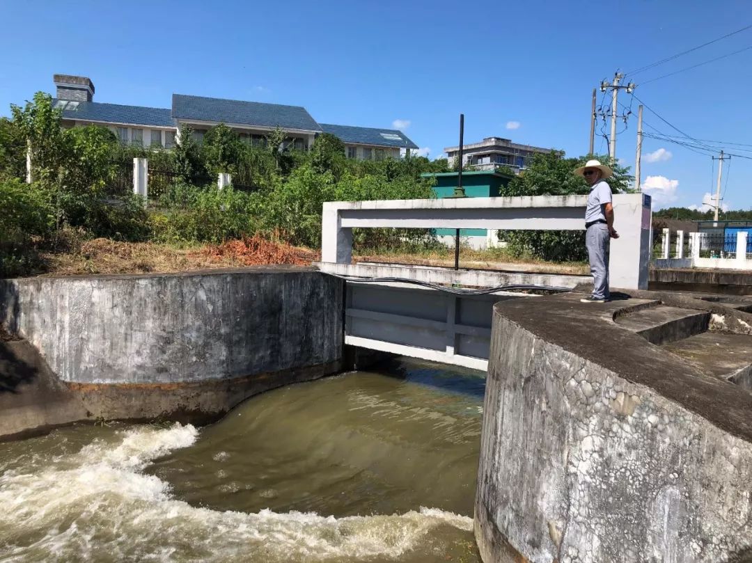东风水库首轮放水灌溉万亩农田