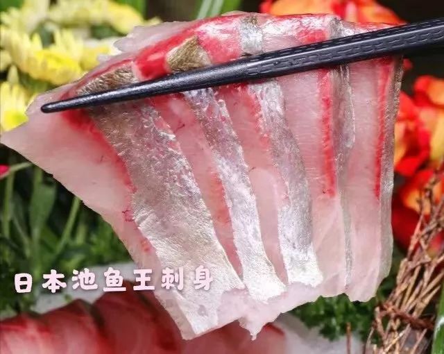 成米长刺身船!三文鱼论斤称!