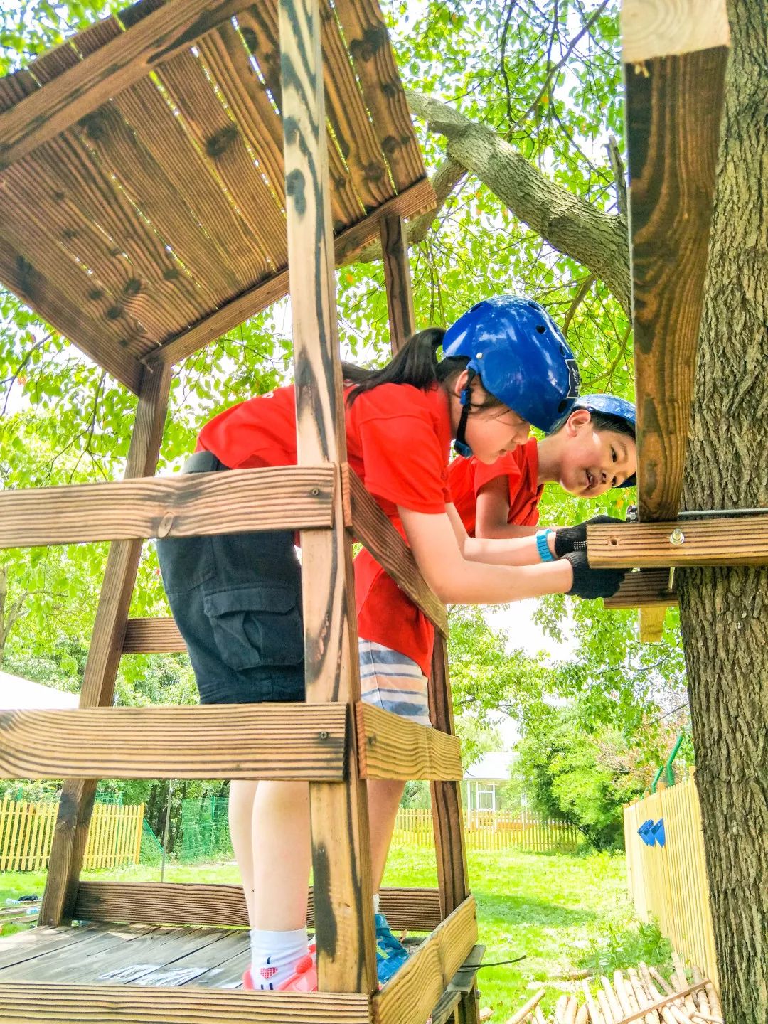 搭建起来的这座树屋的"一砖一瓦"以及对一件事情的执着与认真孩子们