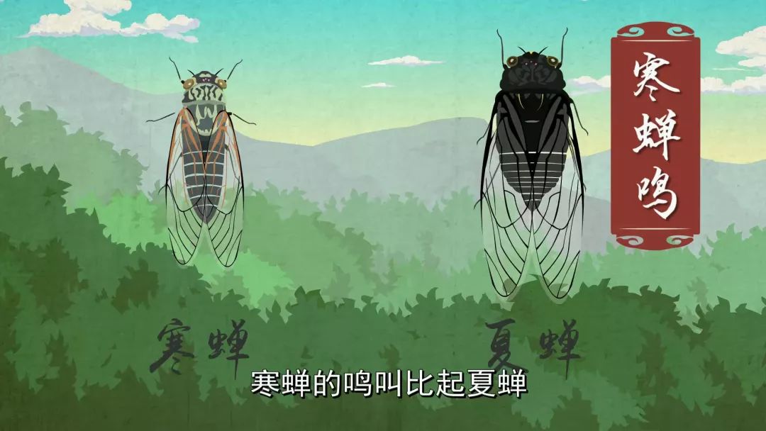 今天七夕过完心凉凉别担心更凉的还在后面