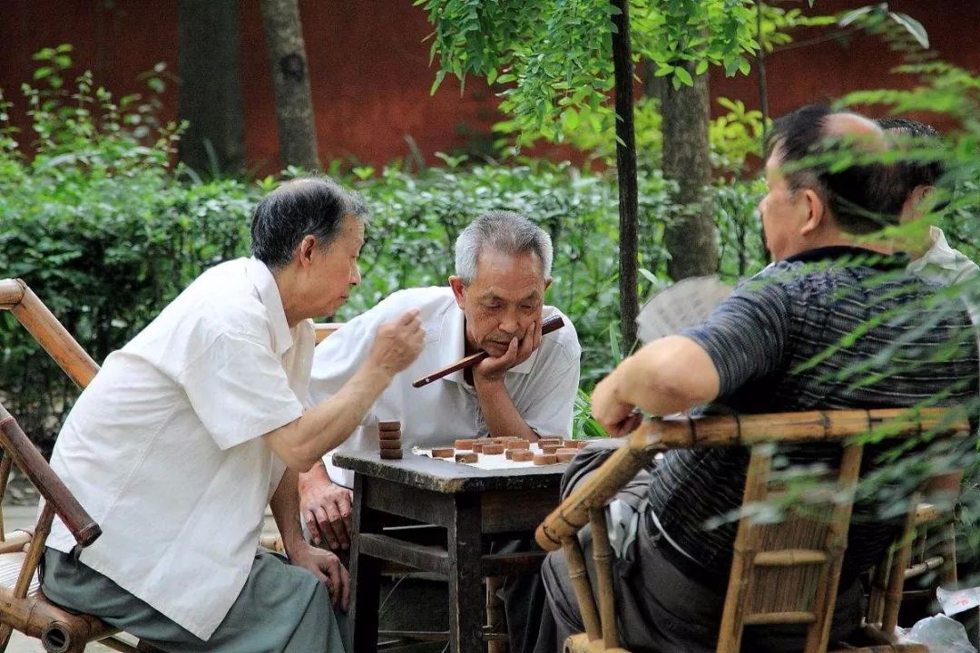图源网络张大爷是一位象棋迷,平时喜欢在公园围观别人下棋.