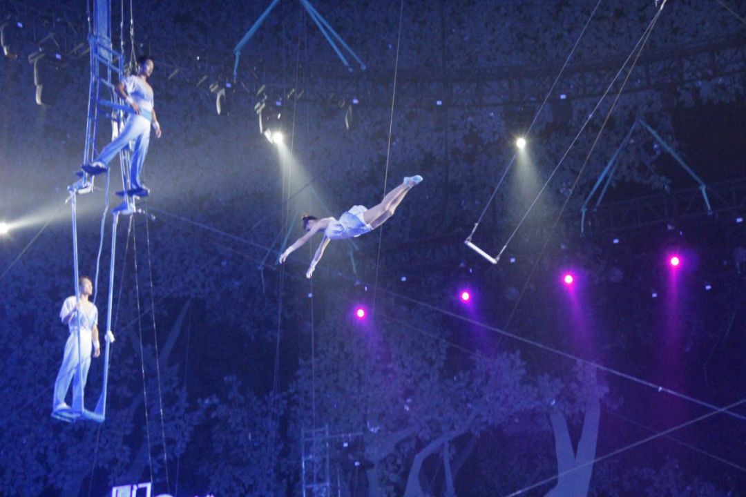 浪漫七夕万盛黑山谷国际大马戏节解锁更多甜蜜操作