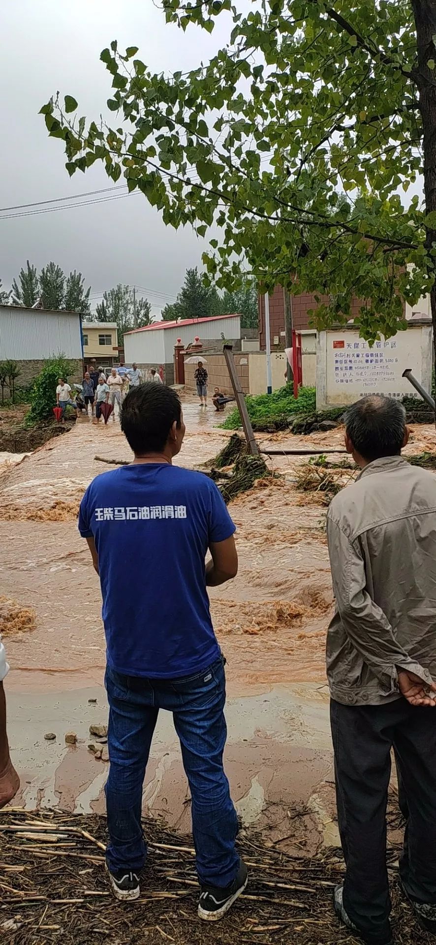淅川年度第一大雨如此凶猛多处积水严重多图视频