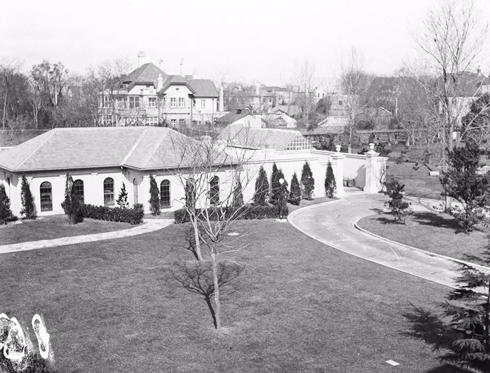 魔都冰淇淋溯源