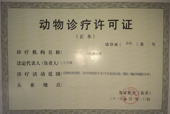 动物诊疗许可证