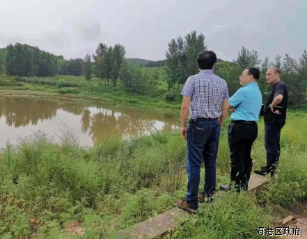 海港区杨忠权新职务图片