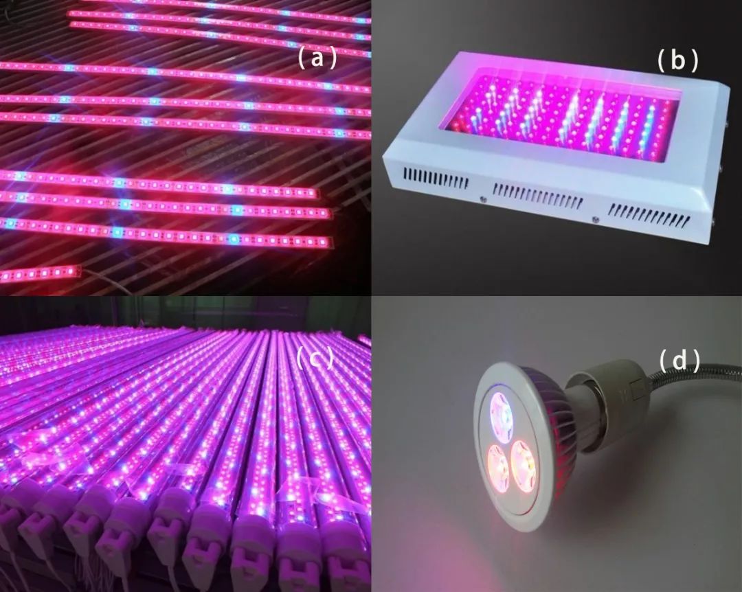 【光电科普知识】日常生活中的LED照明产品(一~三)_搜狐汽车_搜狐网