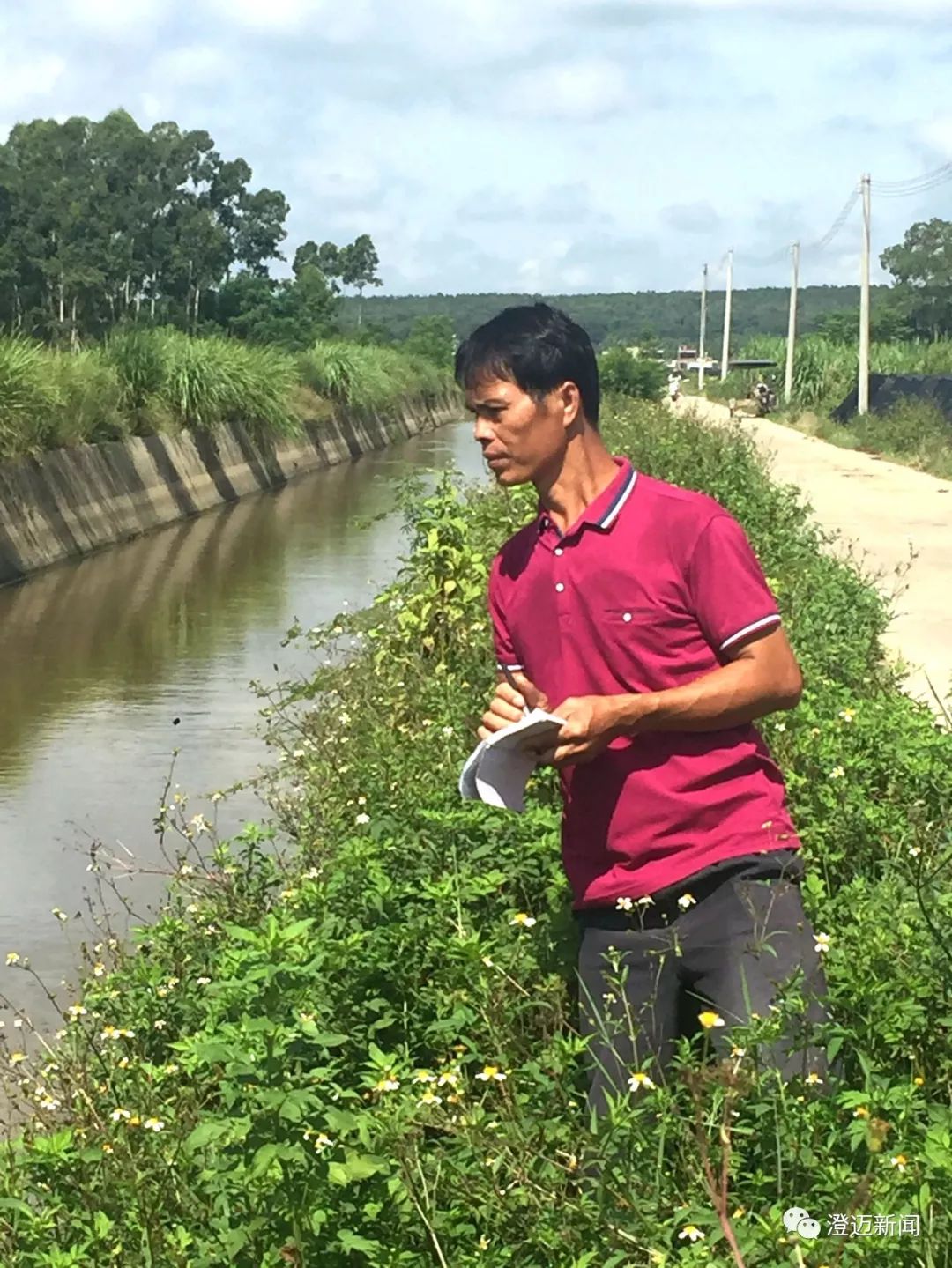 打赢脱贫攻坚战澄迈瑞溪镇仙儒村唐新义自立自强脱贫摘帽