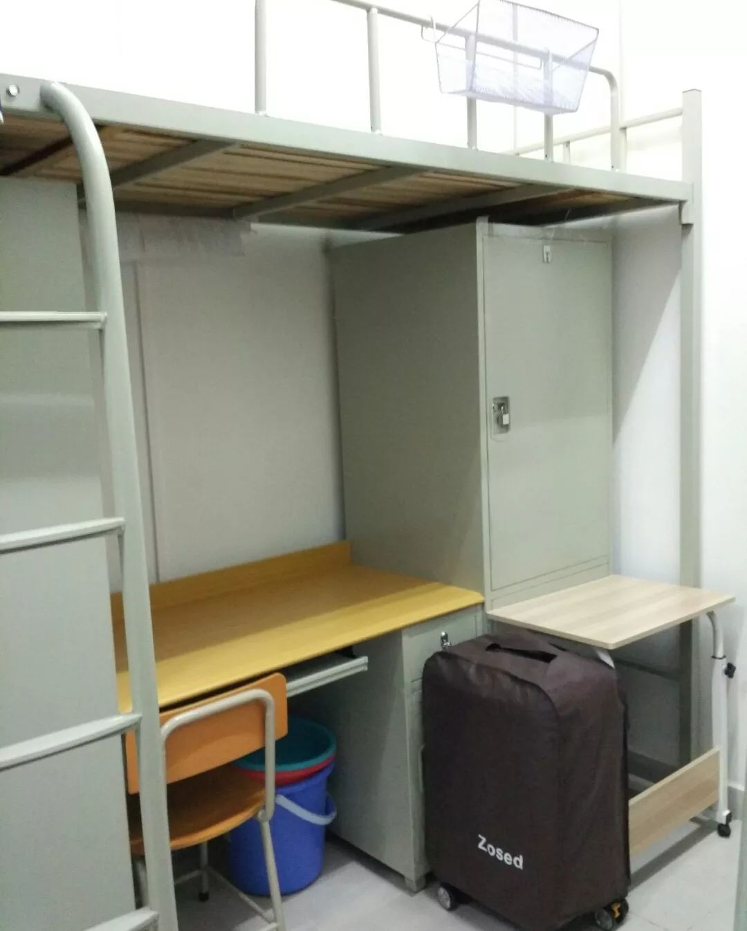 萌新攻略舒适宜居热闹哪个才是你的宿舍标签