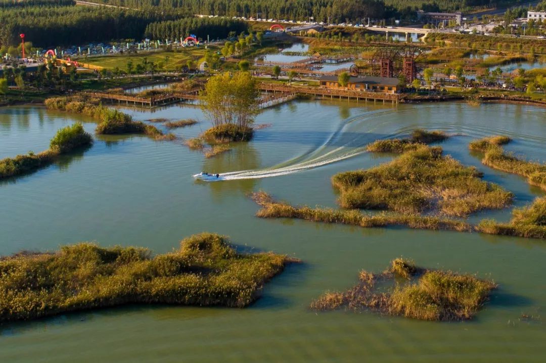 今日七夕在位山湿地公园遇见你就爱了