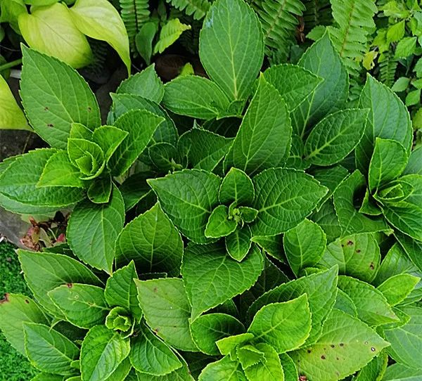 一暄康养特写辑