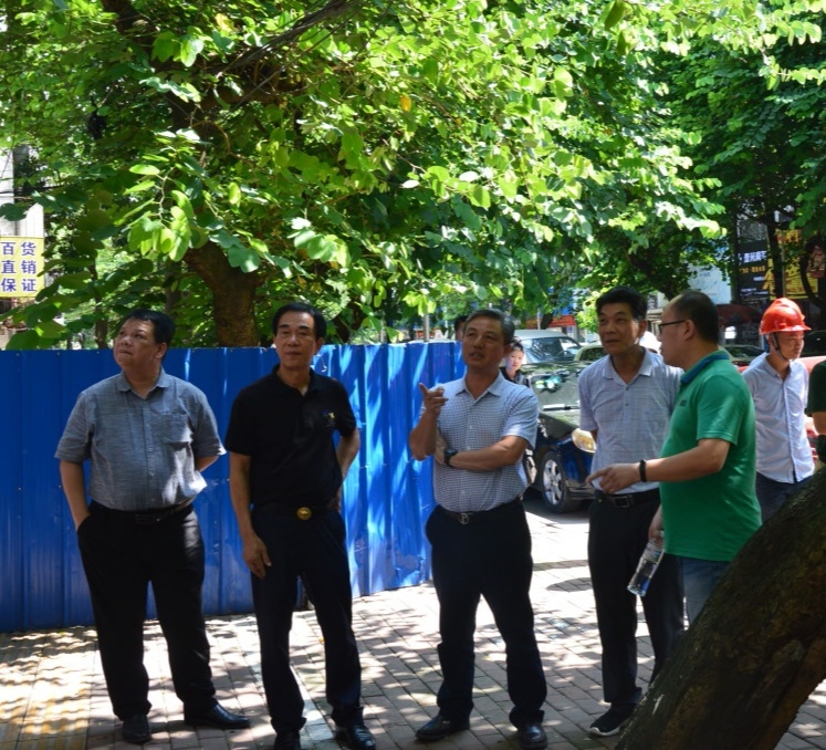 政府常务副区长陆斌深入华强街道中华路片区(二期)旧改项目现场走访