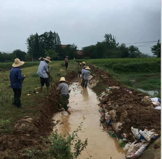 (来源:孝感市应城市人民政府 应城网8月7日讯(通讯员黄海威:入伏