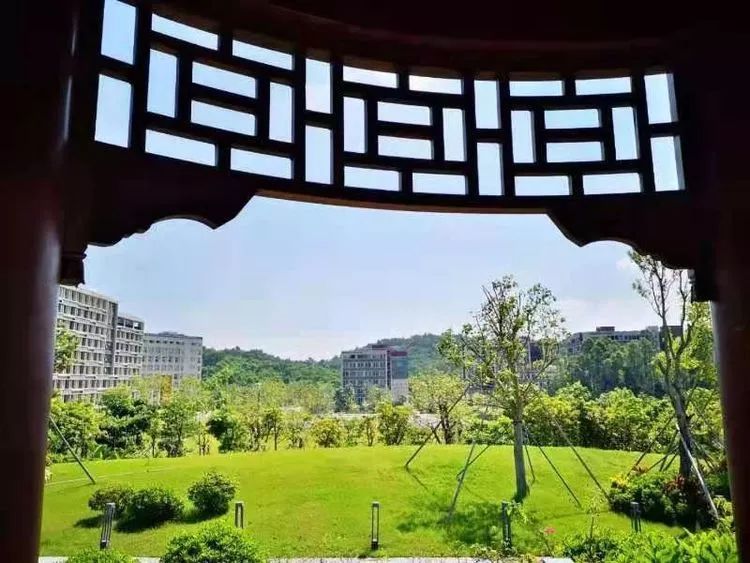 新生家长 | 港中大 (深圳) 之书院篇_逸夫书院