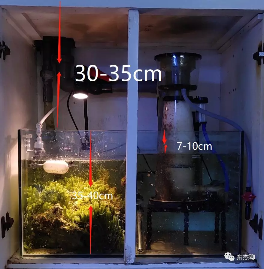 隐藏设备,蛋分,水泵,加热棒,多余的活石,藻等都可以放置在底缸中