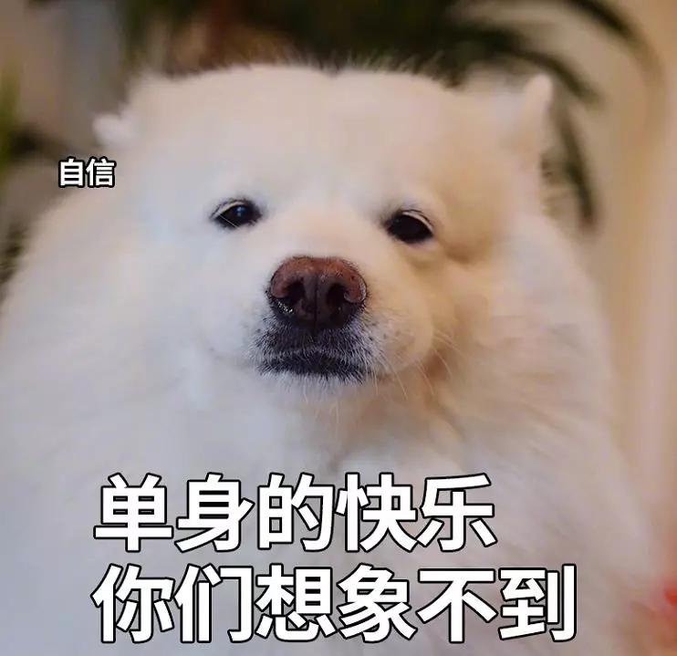 有人说,当代90后单身理由top3如下,圈子小,工作忙,对