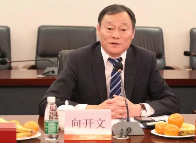 丁安集团亚太区总裁marco righi携集团高