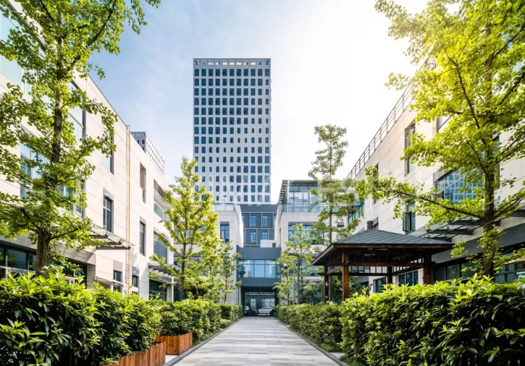 华中画报绿树荫浓时光长留存夏日印象