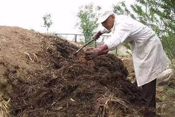 精品農家肥如何才算發酵好田地的肥料怎麼使用