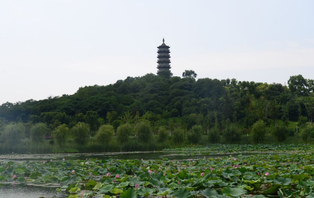 準確地說,凌雲塔,才是整個當塗縣城最好的觀光點.