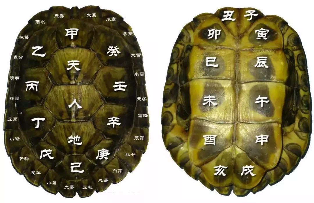 这是个很神奇的占卜直达你的内心深处